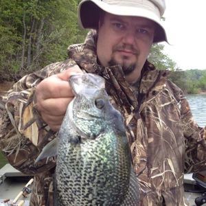 Meet your Posher, Donald